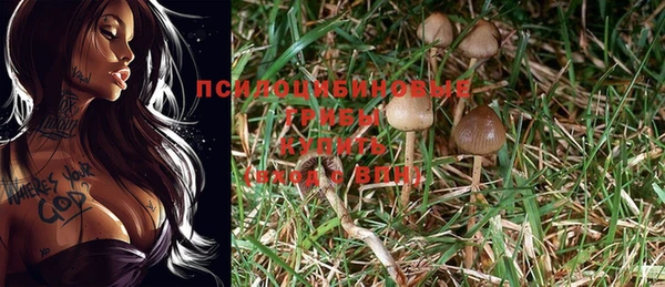 mix Абаза